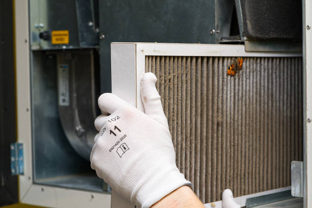 Best Duct Cleaning Specialists  in Mason, TX
